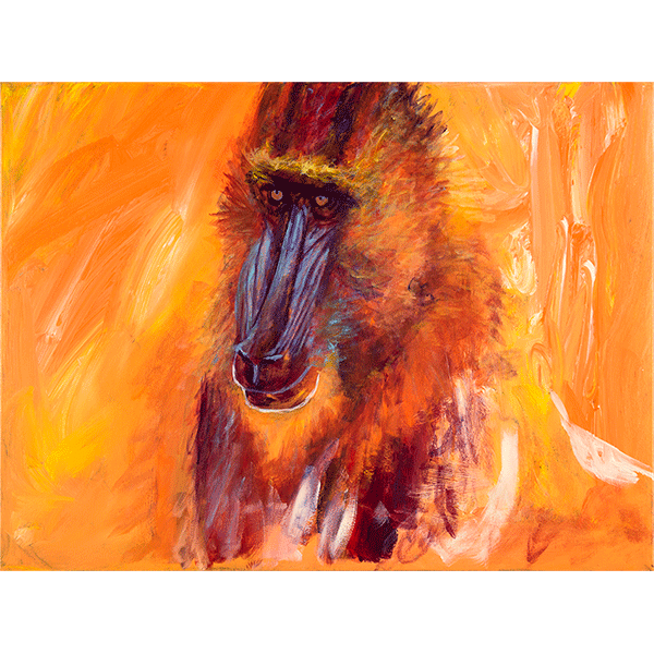 Untitled Baboon
